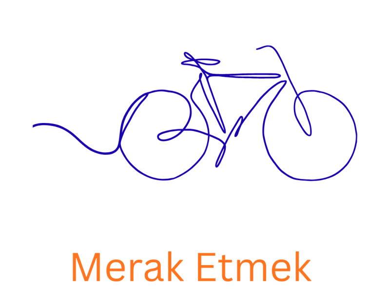 Merak Etmek