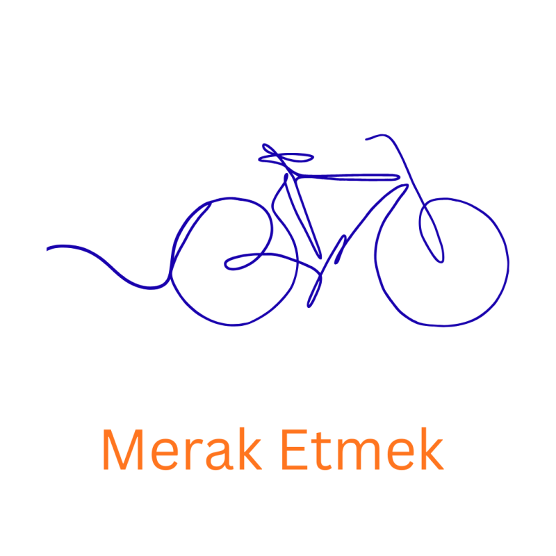 Merak Etmek
