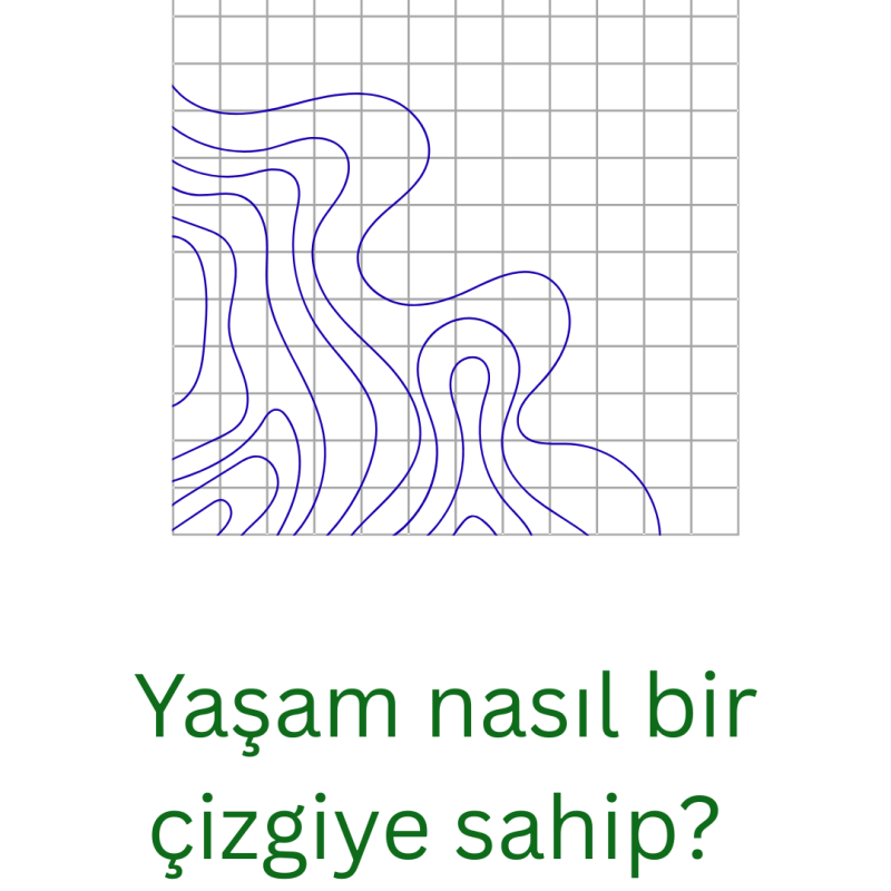 Yaşam nasıl bir çizgiye&nbsp;sahip?